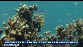 Miniatura do vídeo