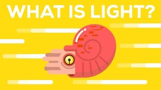 What Is Light?