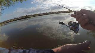 Crazy fish ebisu violet 602ul nano jig