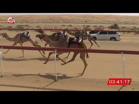  ش 1 (دمعه) لـ سالم سيف بن سويدان الكتبي 7:51 , شارة الديوان 2026/3/02 لقايا الجبيب