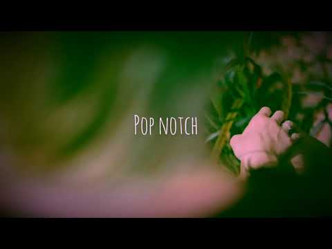 Lucas Estrada & Pawl - Leftover Love (Feat. Clara Mae)