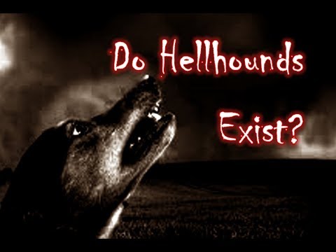 What Are Hellhounds and Do They Exist?