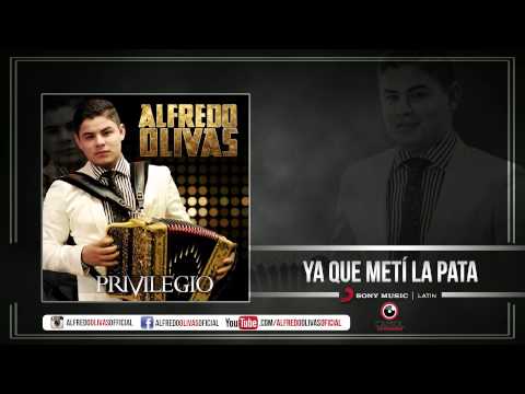 Alfredo Olivas - Ya Que Meti La Pata ( Estudio 2015)