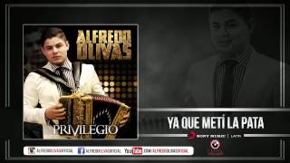 Alfredo Olivas - Ya Que Meti La Pata ( Estudio 2015)