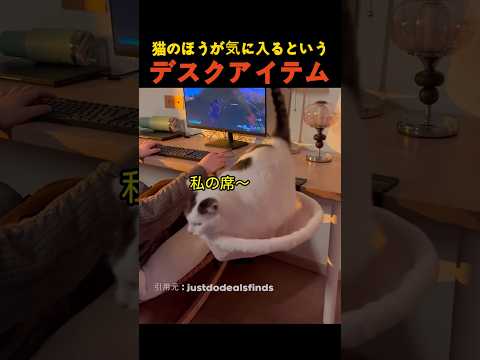 猫のほうが気に入るというデスクアイテム