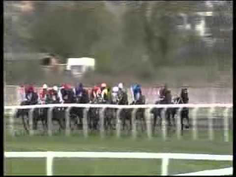 Dostihy - Velká Chuchle 22.4.2012 GOLDY