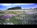 Robin Guthrie - Search Among The Flowers