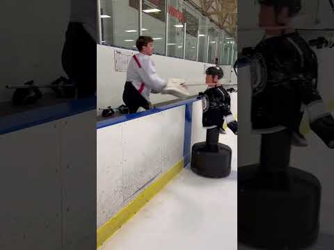 OS PLAYOFFS da NHL são como… #hockey #pavelbarber