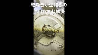 洗濯乾燥機 生乾き 臭い 対策 ドラム式 洗濯物 乾かない 濡れた犬のにおい日立 東芝 パナソニック シャープ アクア ハイアール アイリスオーヤマ 三菱電機