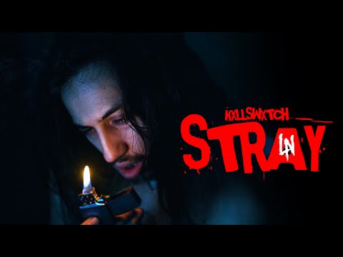 Kxllswxtch - STRAY (Official Music Video)