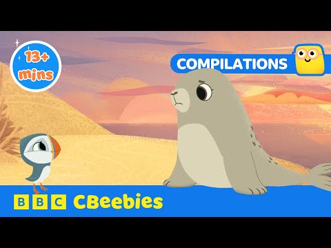 Fun Bird Facts 🐧 | Puffin Rock | CBeebies