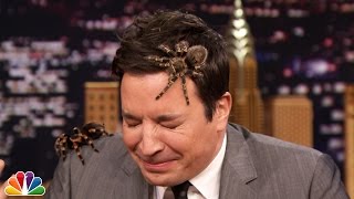 Jeff Musial Creeps Jimmy Out with Mexican Tarantulas video