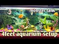 Best Filter For 4 Feet Aquarium