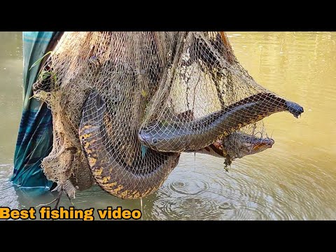 Most Satisfying Cast Net Fishing Video Catch Tons of Fish - Traditional Net Catch Fishing on River🤔🤔