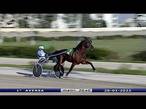 Aversa trotto 26 Gennaio 2022 - 1° Corsa