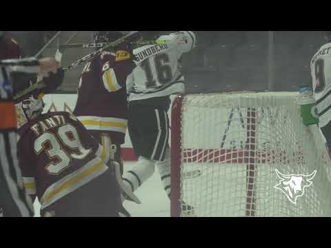 Highlights: Hockey vs. Minnesota Duluth