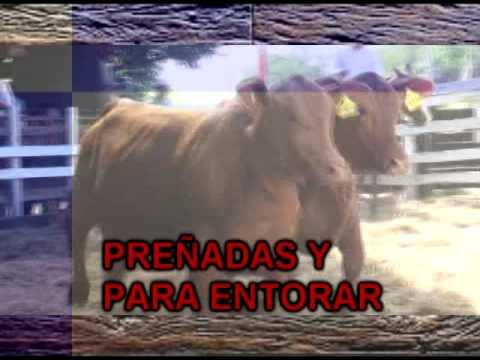 CLIP REMATE FORTÍN CORRALES 27 10 16