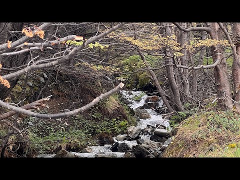 Tierra del Fuego, Argentina