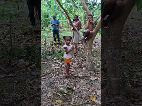 vida #sitio Cantinho do Céu em Buerarema sul da Bahia