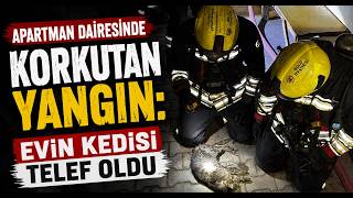 Apartman Dairesinde Korkutan Yangın Evin Kedisi Telef Oldu