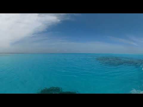 360° Video Mnemba Island Boat Tour Amazing Blue Water #Zanzibar Tanzania Daniel Nelu #TravelVlog 6K
