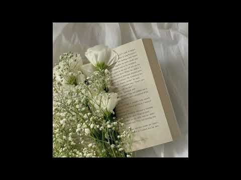 Velika - ดอกไม้และข้อความ (Audio)