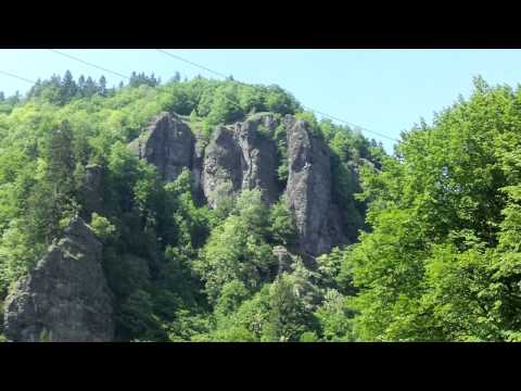 Lunca Bradului - Salard