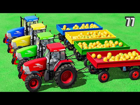 LOAD & TRANSPORT ORANGE With McCormick Tractors & Colored Trailer! #77 Farming Simulator 22