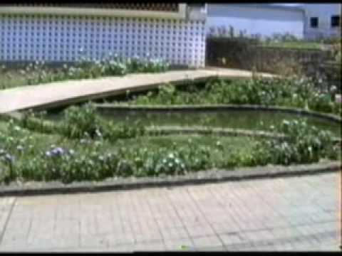 NOTICIÁRIO MUNICIPAL Nº 01 BLOCO 03 - OUTUBRO A DEZEMBRO DE 1991