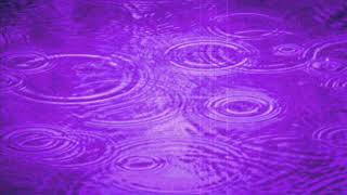 Sophie Hunger Purple rain