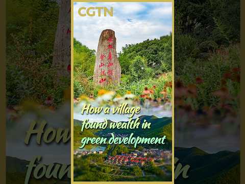 How a village found wealth in green development