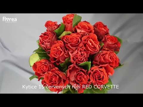 Kytice 15 červených růží RED CORVETTE 