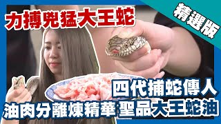 [神人] 抓蛇家族的千金