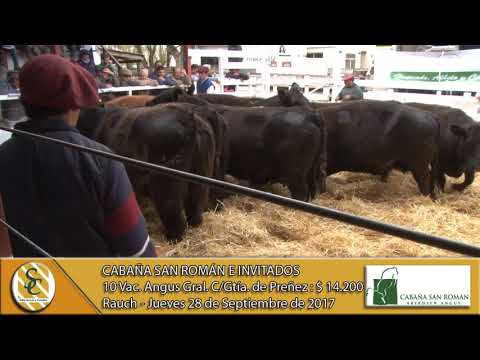 28-09-17 Venta de Vientres - Cabaña San Román e Invitados - Rauch