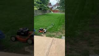 Monthly Lawn Care