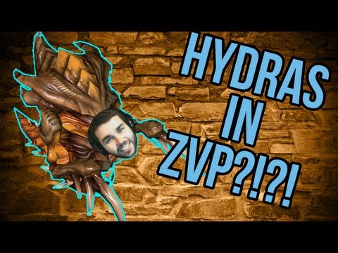 StarCraft 2: Hydras vs Immo Sentry?! - Zerg Strategy