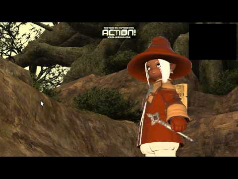 FINAL FANTASY XIV NPC QUEST WITH VOICE
