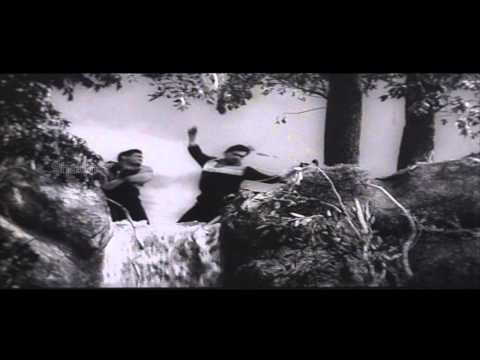 CID Movie (1965) | Action Fight In The Jungle