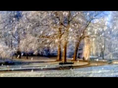 Zbigniew Wodecki _Jeden krótki dzień