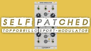 Video thumbnail for SELF PATCHED! Toppobrillo Sport Modulator // Serge style chaotic feedback by DivKid