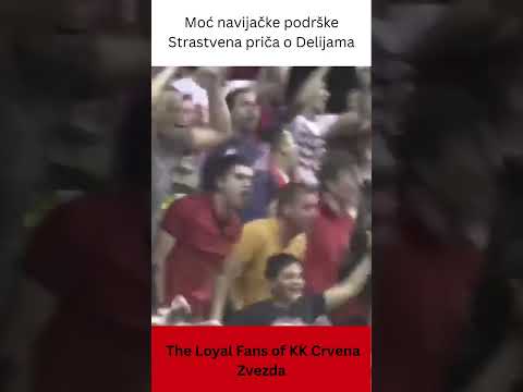 The Red Star Belgrade Experience: A Look at the Legendary Delije Moć navijačke podrške #euroleague