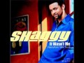 Shaggy- It Wasn't Me [Explicit Version]