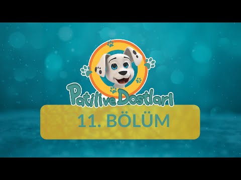 Kur'an'ı Seviyorum - Patili ve Dostları 11.Bölüm