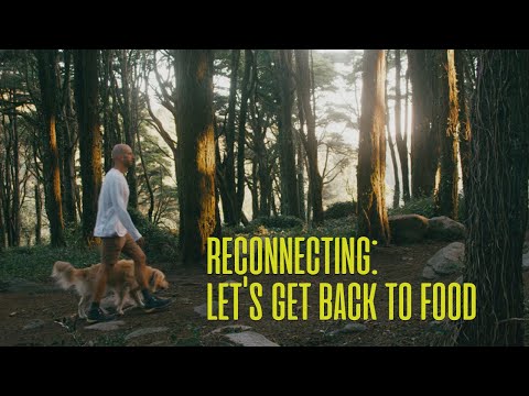 重拾聯繫：讓我們迴歸食物 (Reconnected: Let's Get Back to Food)