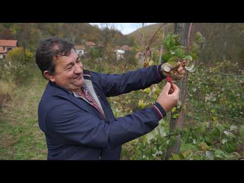 Složno, uspešno! ep. 38 08.12.2020. Jagodičasto i koštičavo voće, Kuršumlija, gazdinstvo Milanović