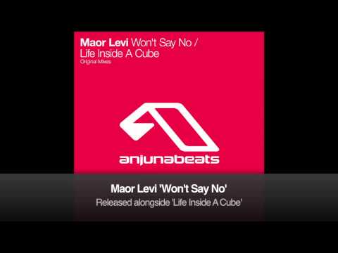 Maor Levi - Won't Say No