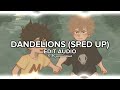 Dandelions (Sped Up) - [Ruth B] Edit Audio