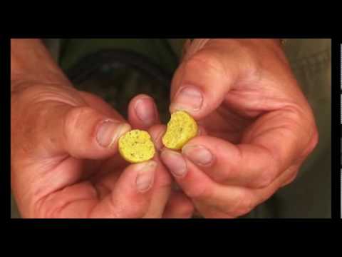 Carp Boilies - Quest Baits Pineapple Crush (Pt1)