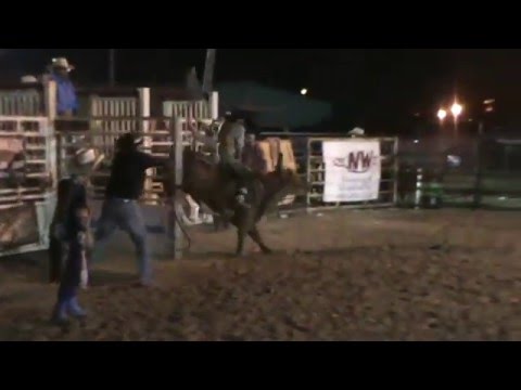 Far South Buckin Bulls