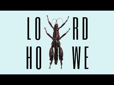 Lord Howe - Ecological Catastrophe and Award-Winning Conservation